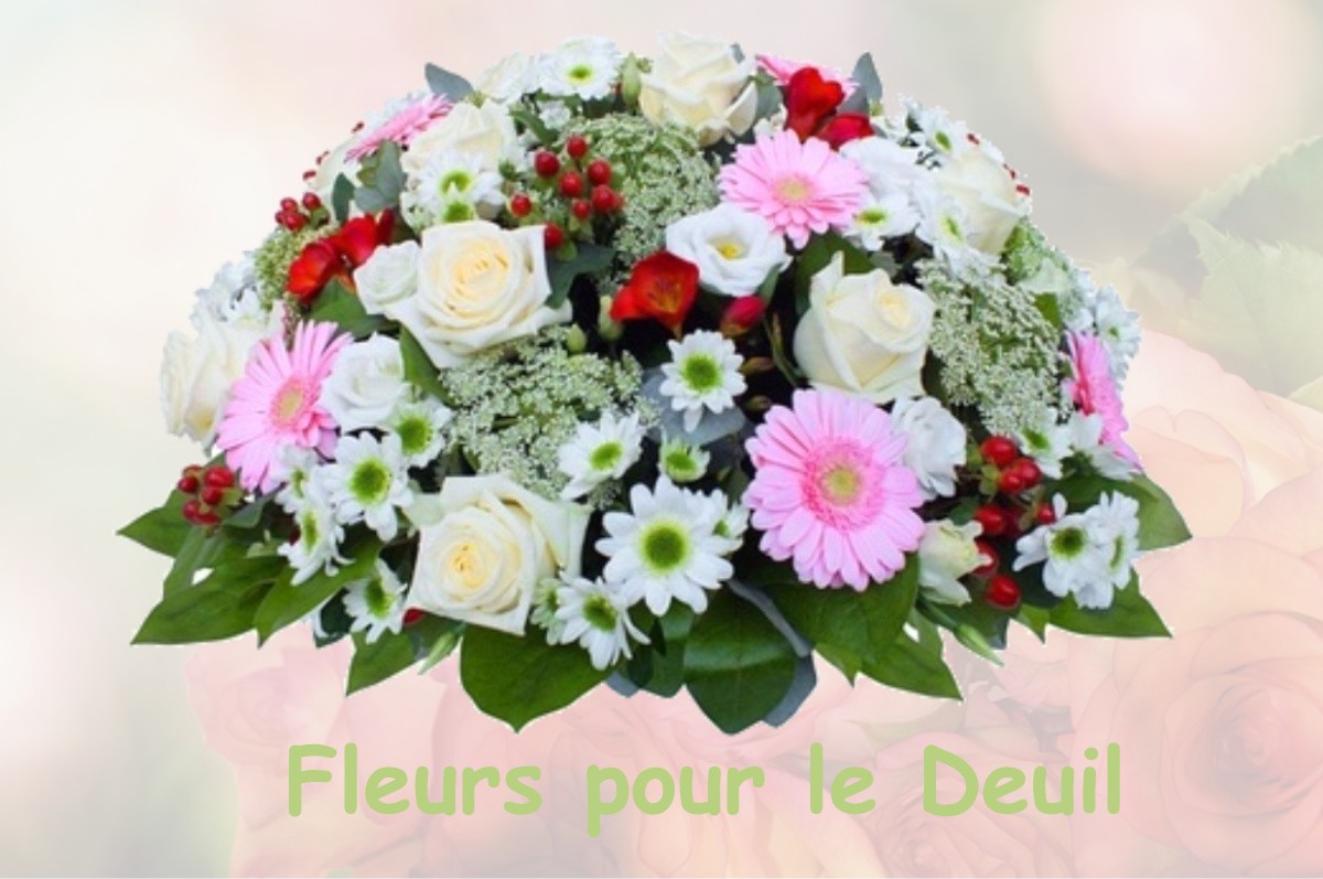 fleurs deuil DOMPIERRE-SOUS-SANVIGNES